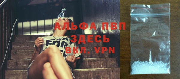 ПСИЛОЦИБИНОВЫЕ ГРИБЫ Михайловка