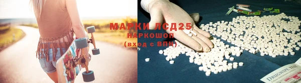 ПСИЛОЦИБИНОВЫЕ ГРИБЫ Михайловка
