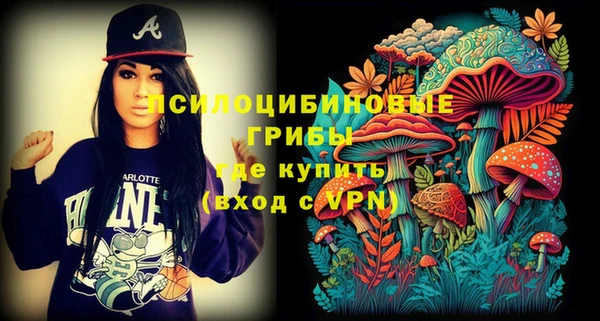 ПСИЛОЦИБИНОВЫЕ ГРИБЫ Михайловка