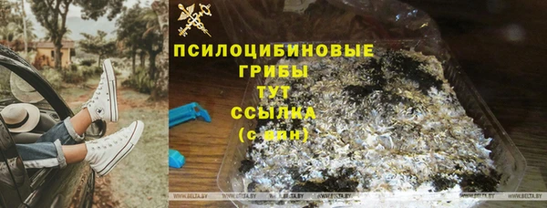 ПСИЛОЦИБИНОВЫЕ ГРИБЫ Михайловка